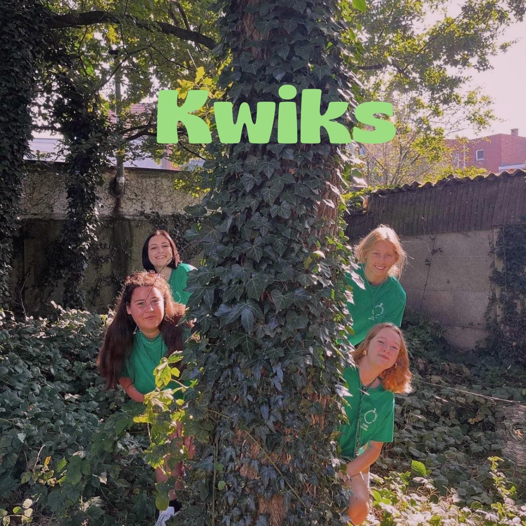 Leidingsploeg Kwiks